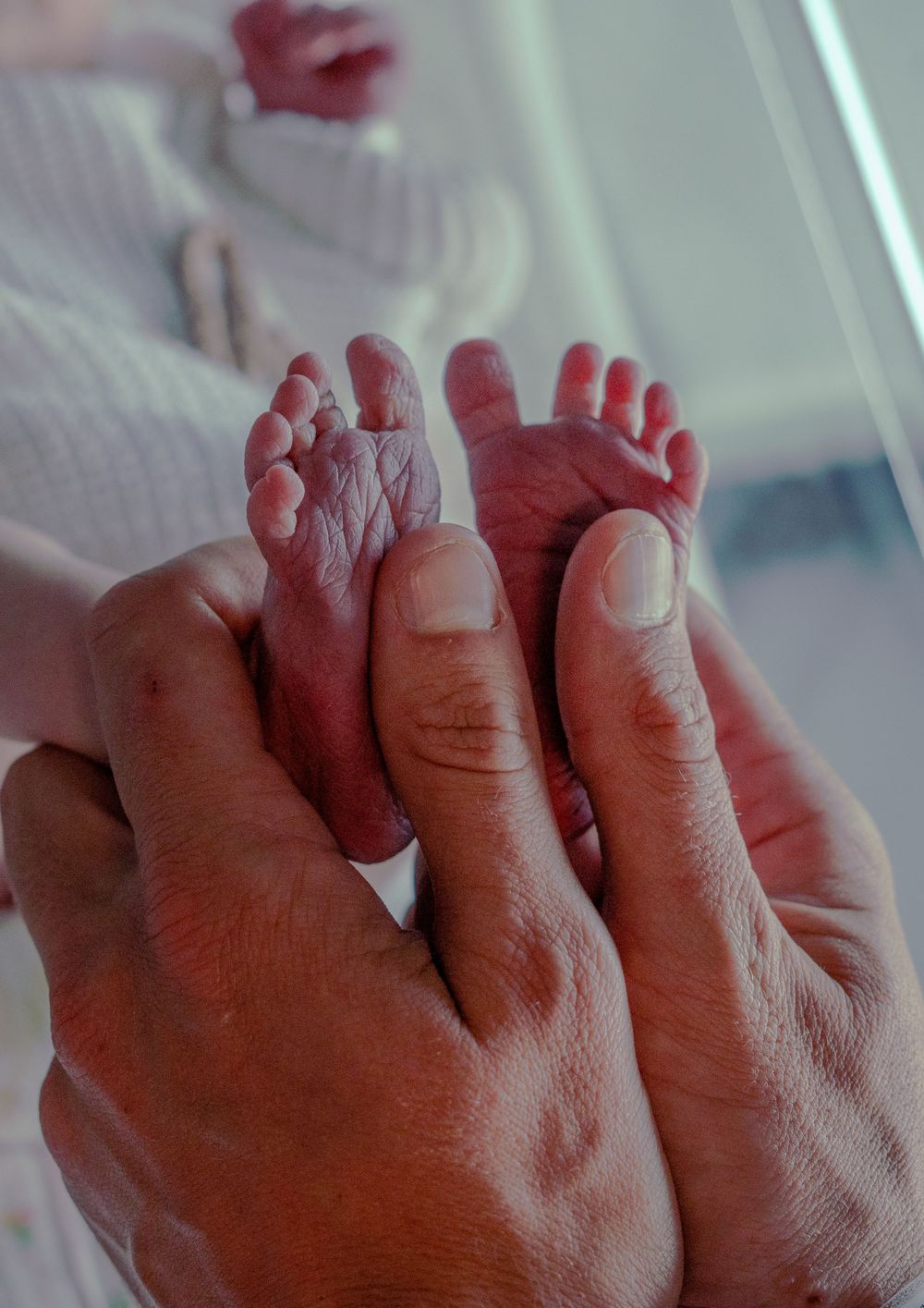Parent tenderly holding tiny newborn baby feet in their hands in hospital nursery.