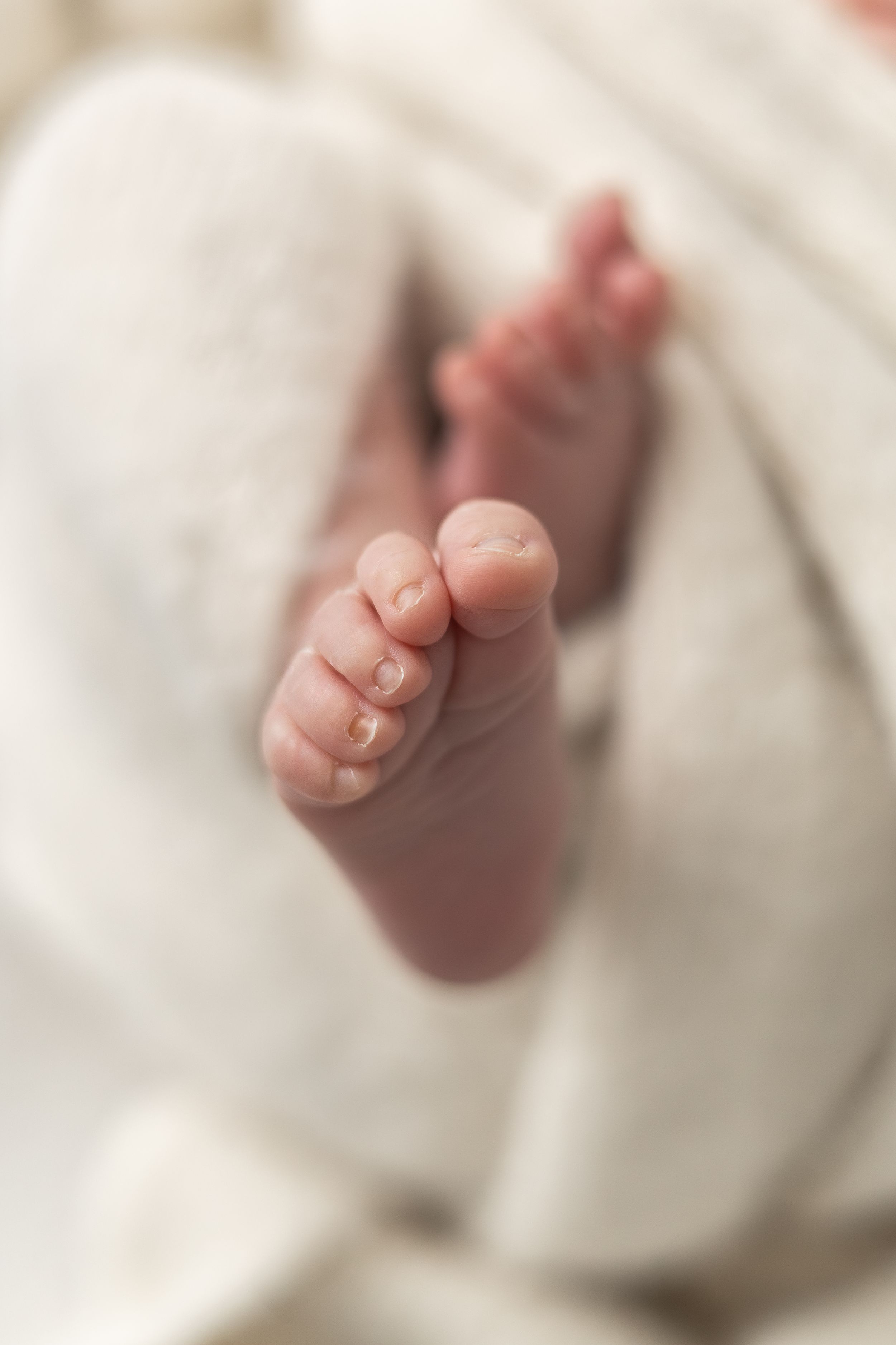 Close-up of tiny newborn baby feet wrapped in soft white blanket, showcasing delicate toes and skin.