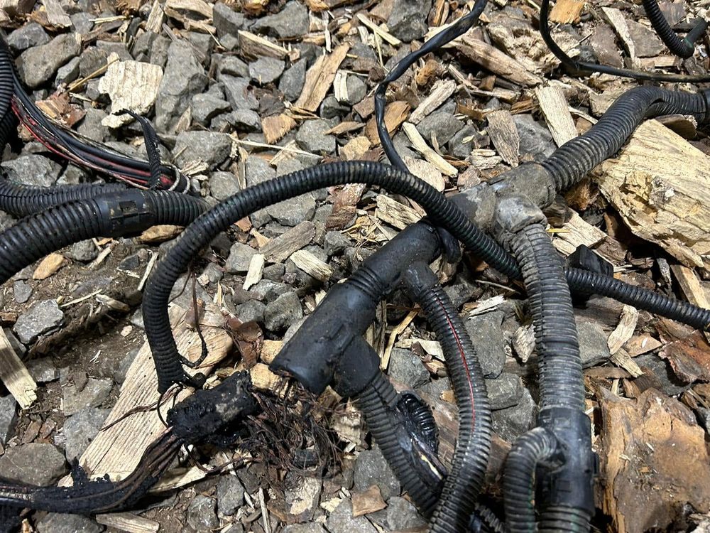 Frayed electrical wiring on plant machinery requiring repair