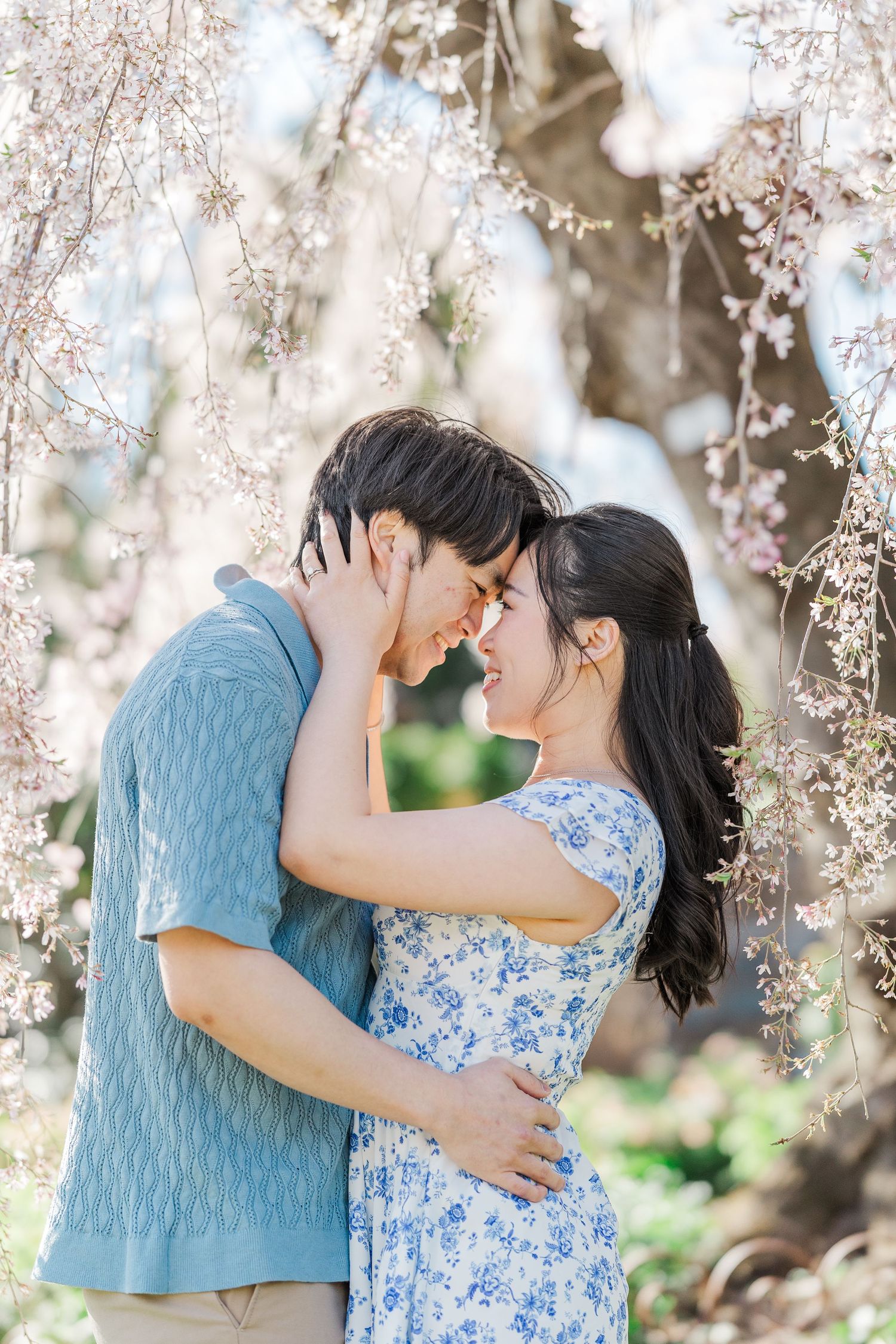 Couple sharing a romantic moment under blooming cherry blossom trees, wearing blue outfits in a spring garden.