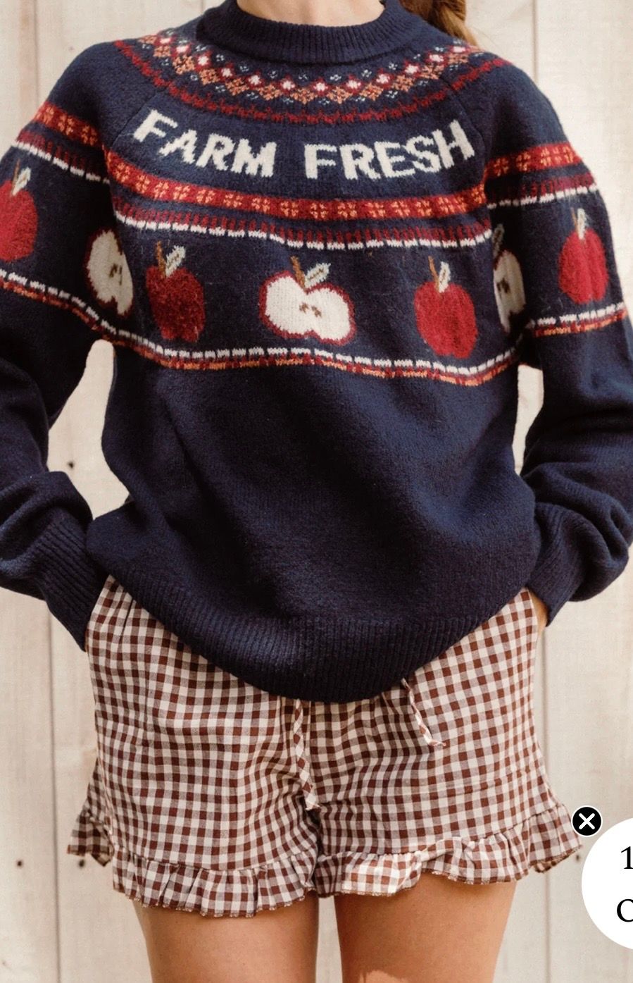 Navy Farm Fresh apple print fair isle knit sweater paired with brown gingham ruffle mini skirt.