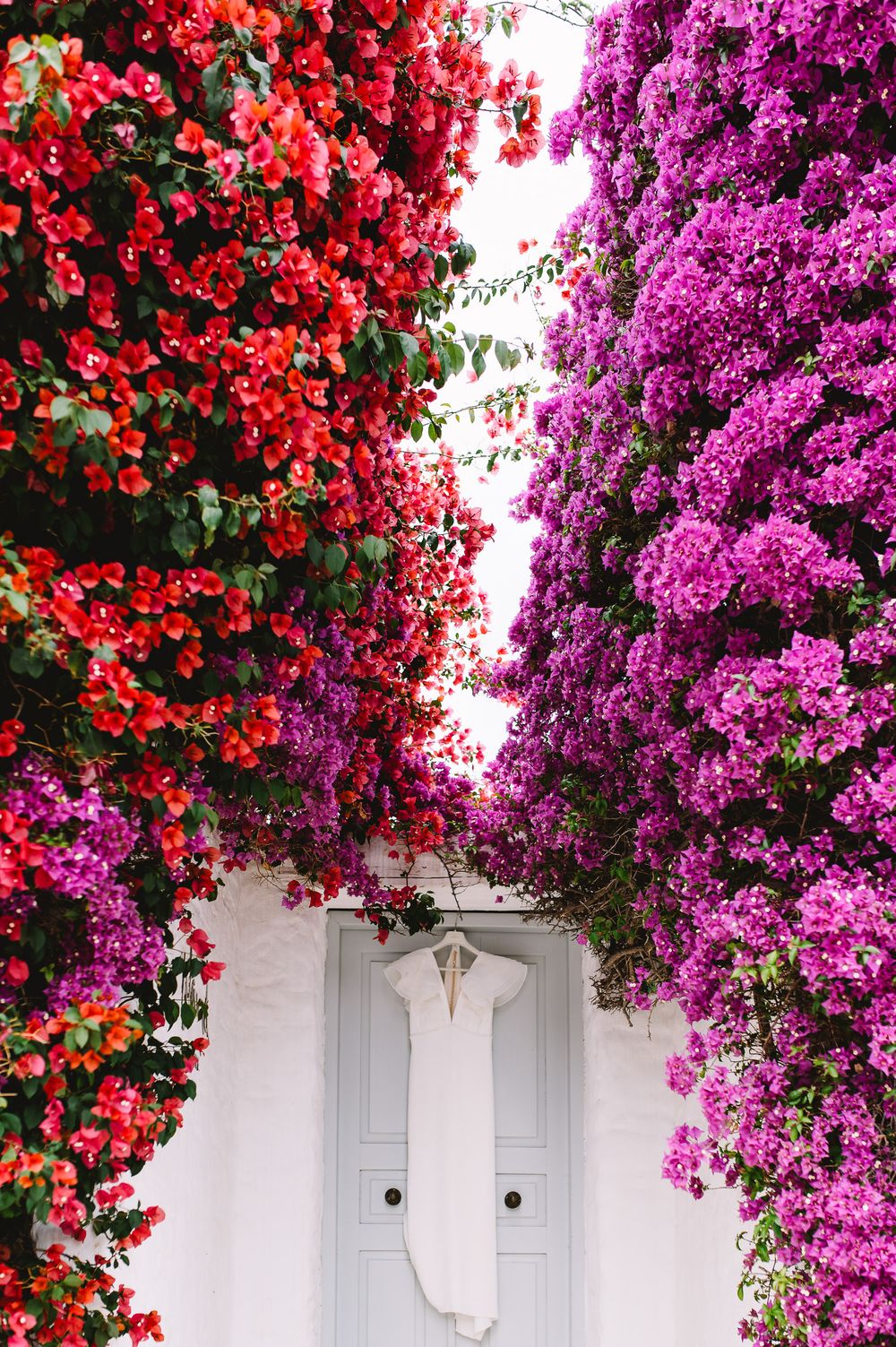 A white doorway framed by vibrant red and purple bougainvillea flowers with a white dress hanging outside.