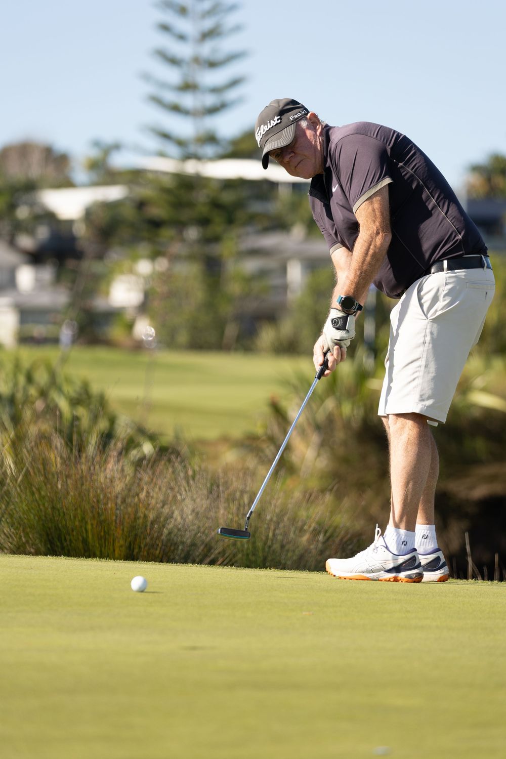 Male golfer in dark shirt and white shorts putting on a green golf course on a sunny day.