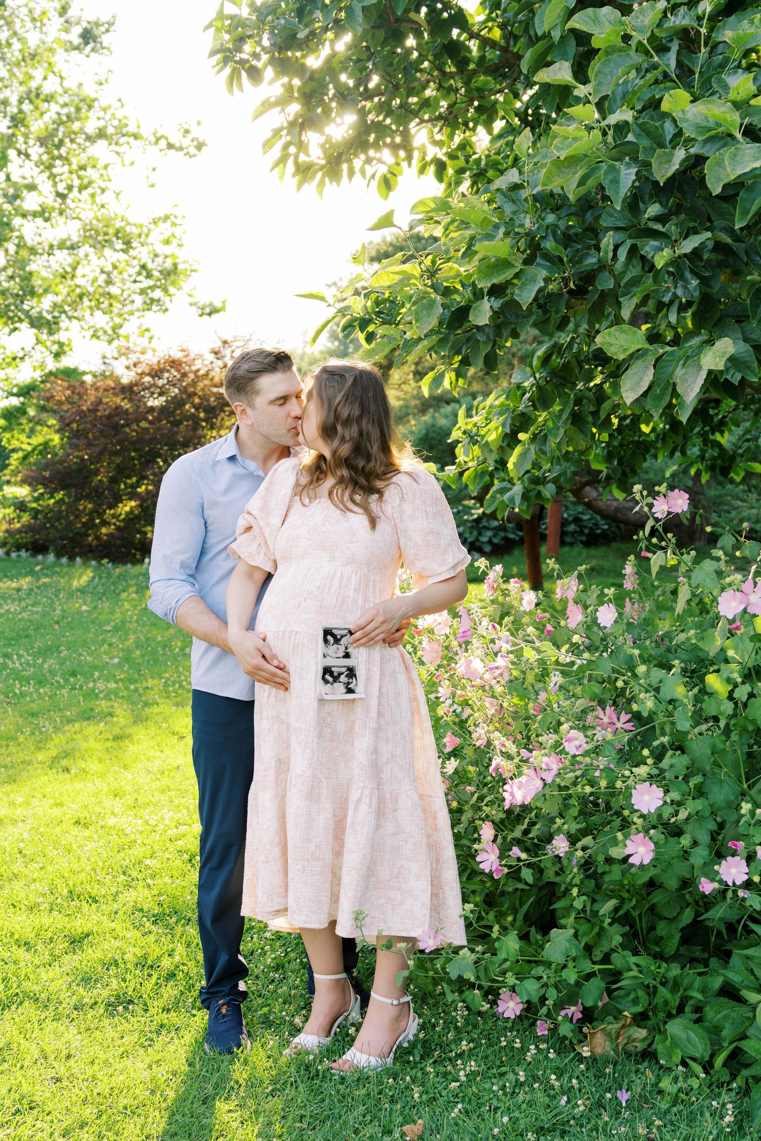 Pregnant couple kissing in a sunny garden, holding ultrasound photos near blooming pink roses and lush green trees.