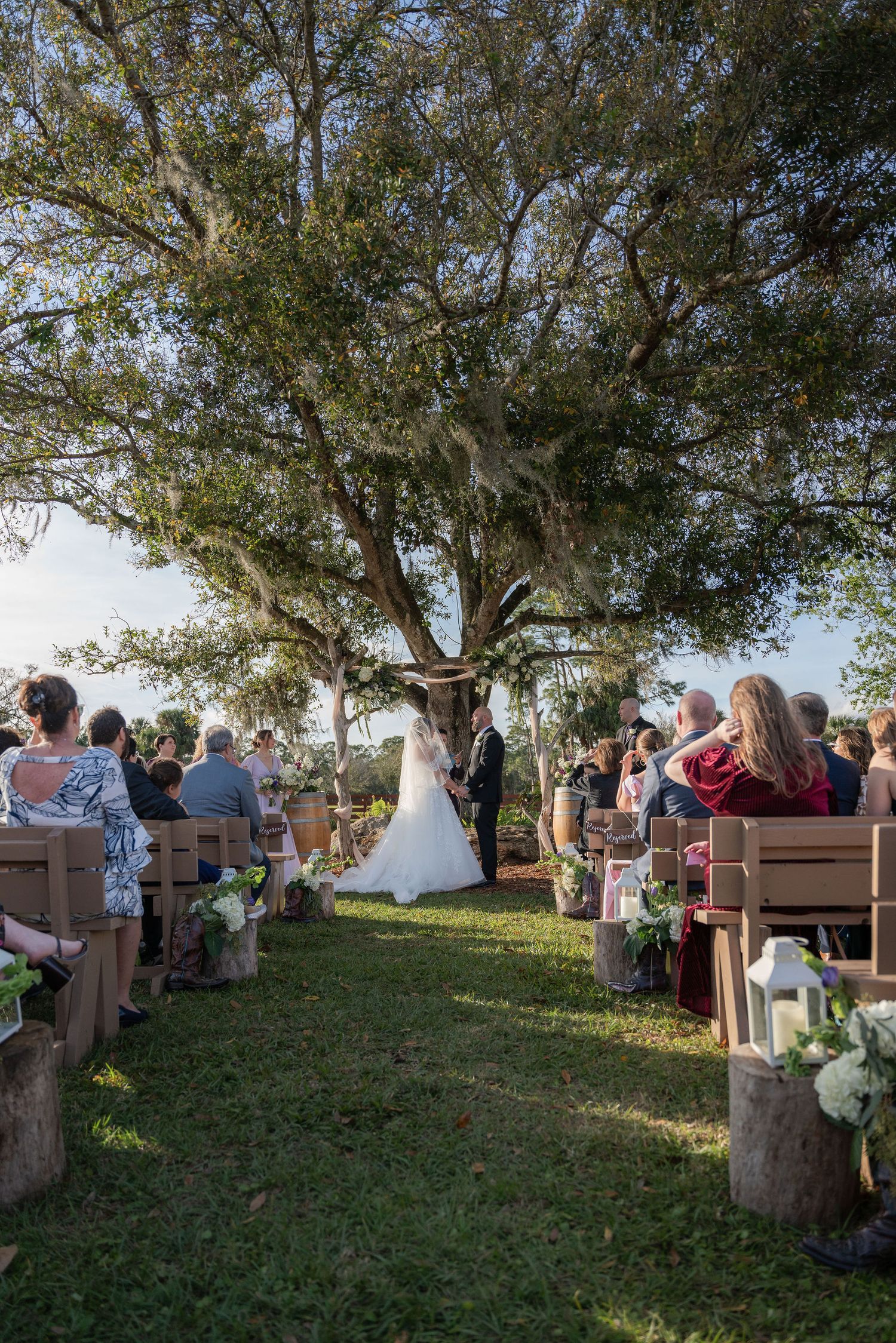 Wedding ceremony under the large oak tree with bench seating and guests at Rockin' H Ranch in Palm City, FL