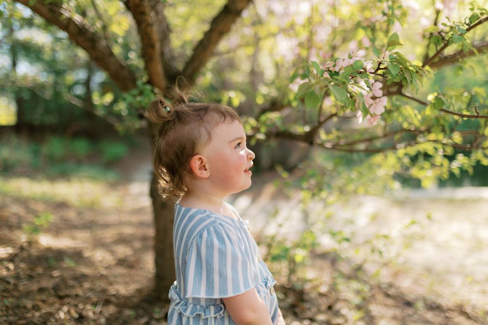 Toddler girl in blue striped dress gazing up at pink blossoms on a flowering tree in a sunny garden.