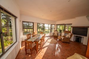 Bright open-plan living and dining room with wooden table, terracotta tile floor, fireplace and large windows overlooking trees.