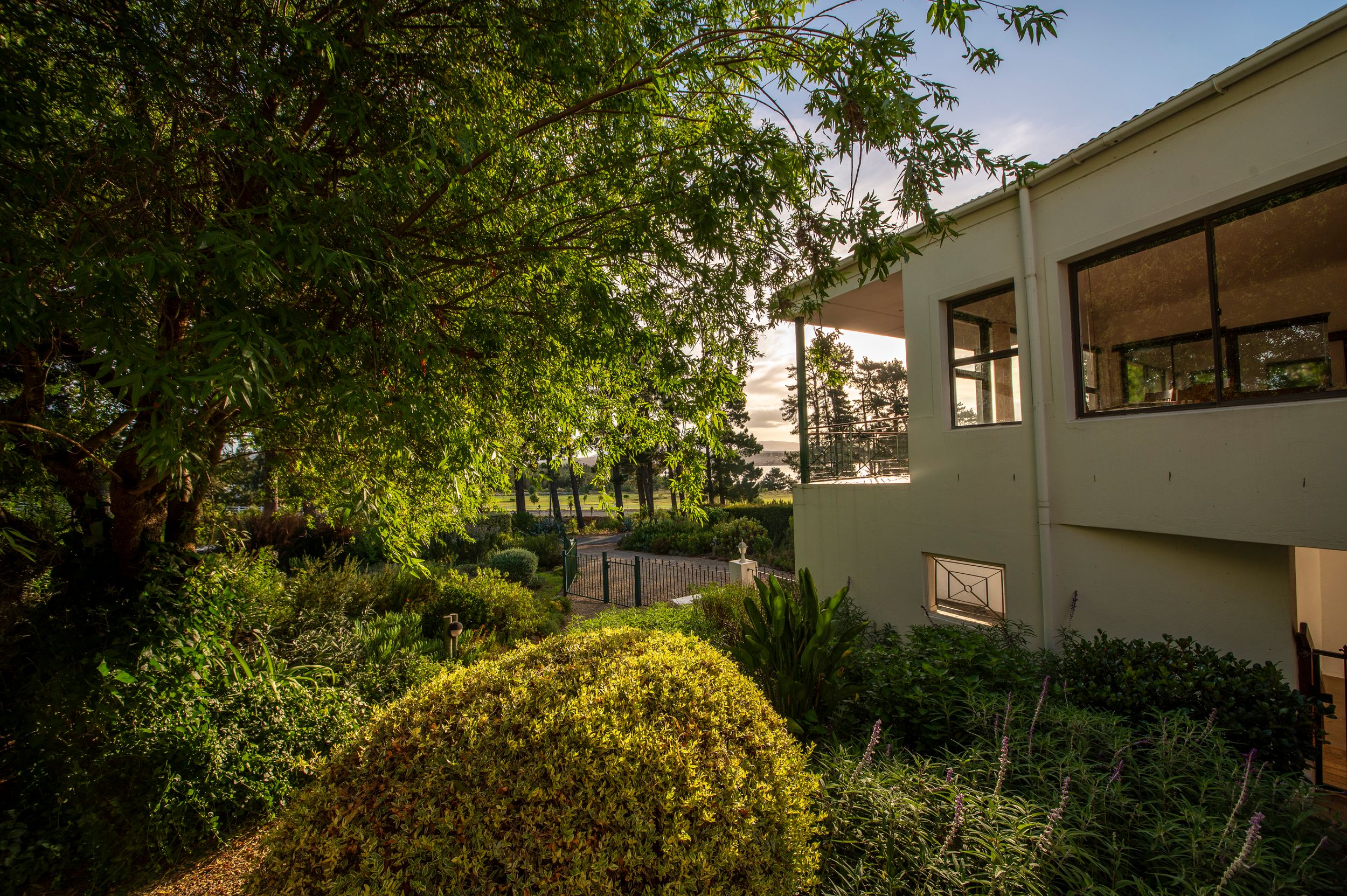 Modern two-story building with large windows beside a manicured round shrub, lush garden greenery and tall trees in warm evening sunlight.