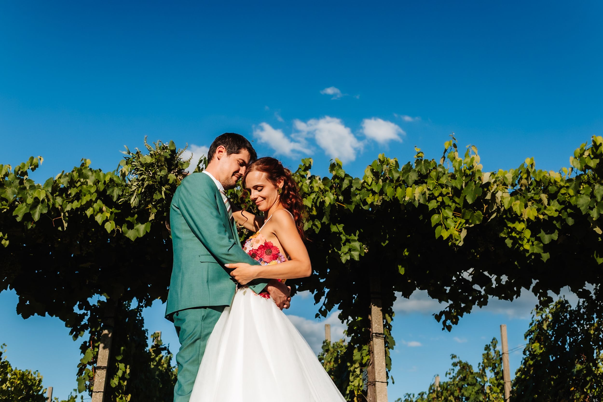 Couple embraces among lush vineyard rows under a bright blue sky, bride in white gown and groom in teal suit.