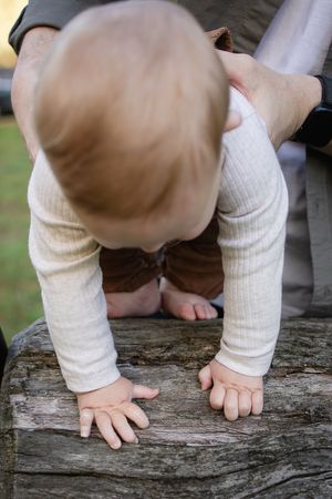 A baby in cream ribbed outfit leans forward on a wooden log, supported by an adult, exploring outdoors.