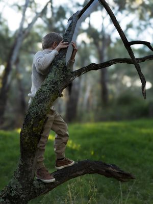 Young boy climbing a moss-covered tree branch in a lush green forest, wearing khaki pants and a white sweater.