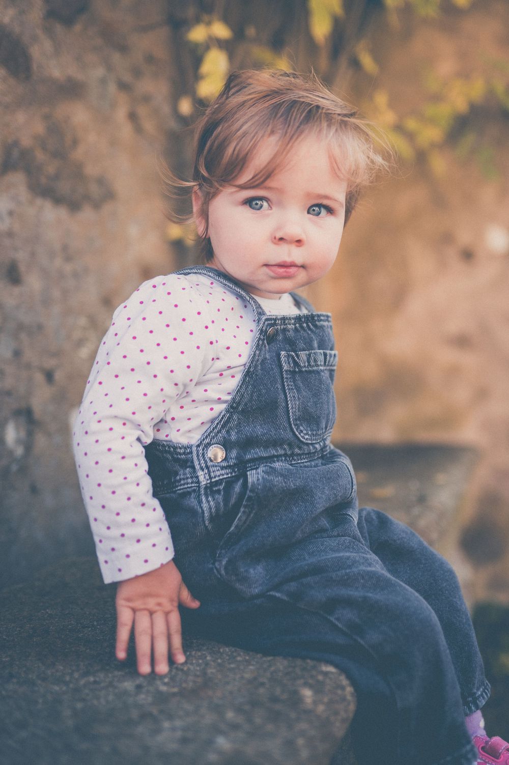 Blue-eyed toddler in denim overalls and a polka dot shirt sits on a stone ledge with autumn leaves softly blurred behind.