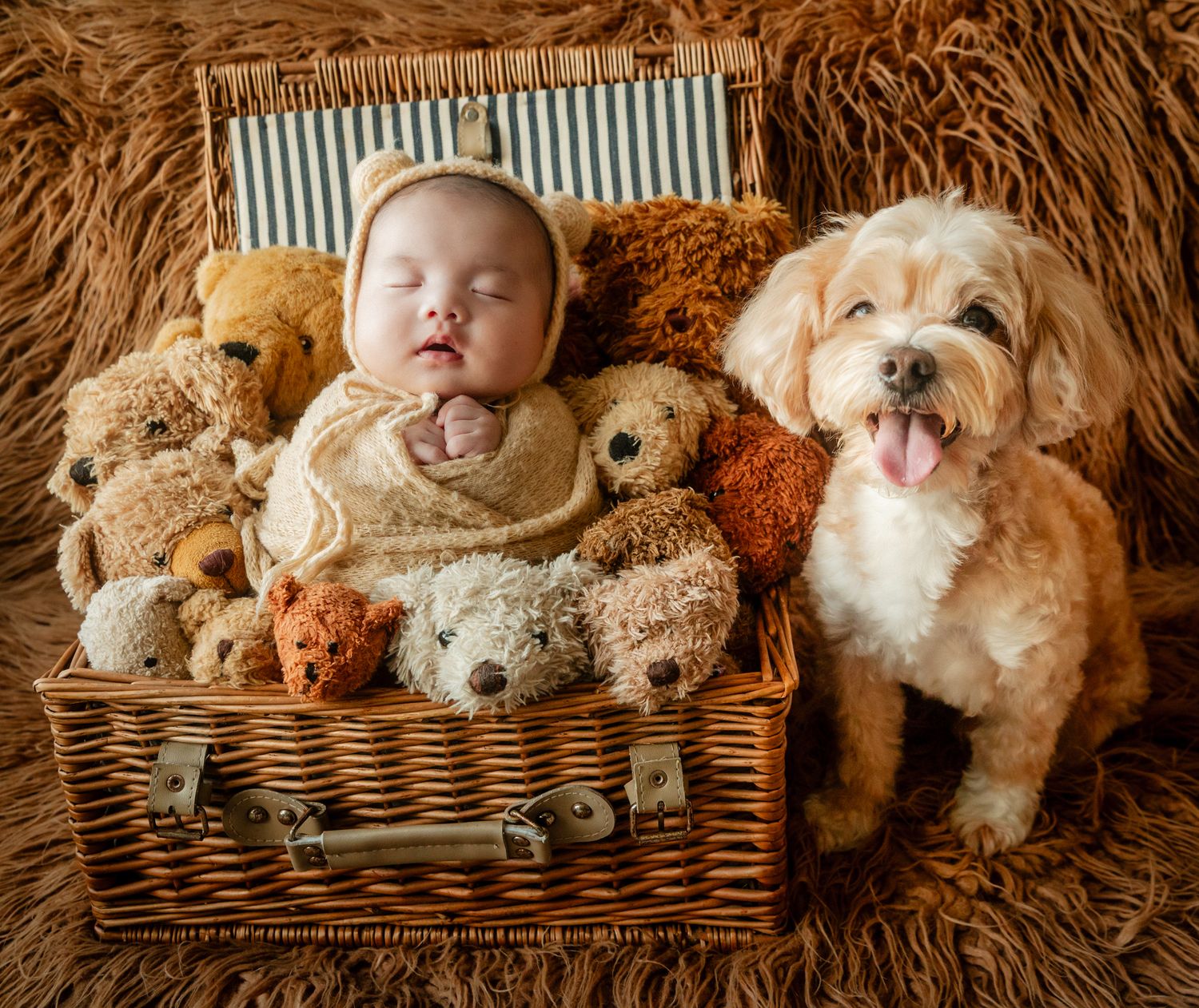 A sleeping newborn baby nestled among stuffed animal dogs in a wicker basket beside a happy fluffy puppy.