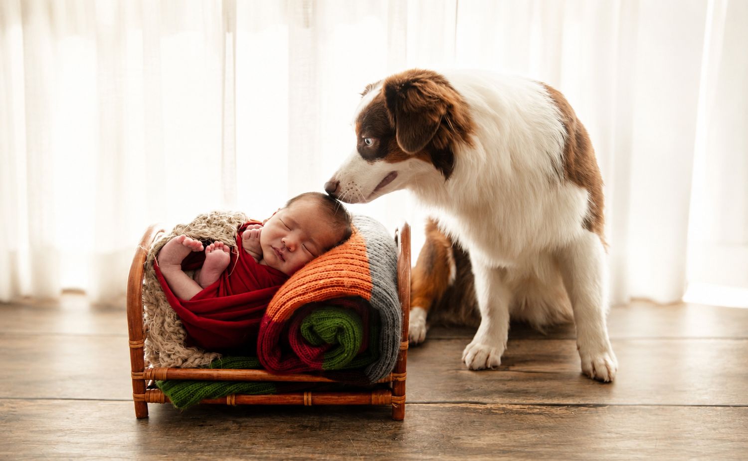 A fluffy dog gently sniffs a sleeping newborn baby wrapped in colorful blankets in a tiny wooden bed.