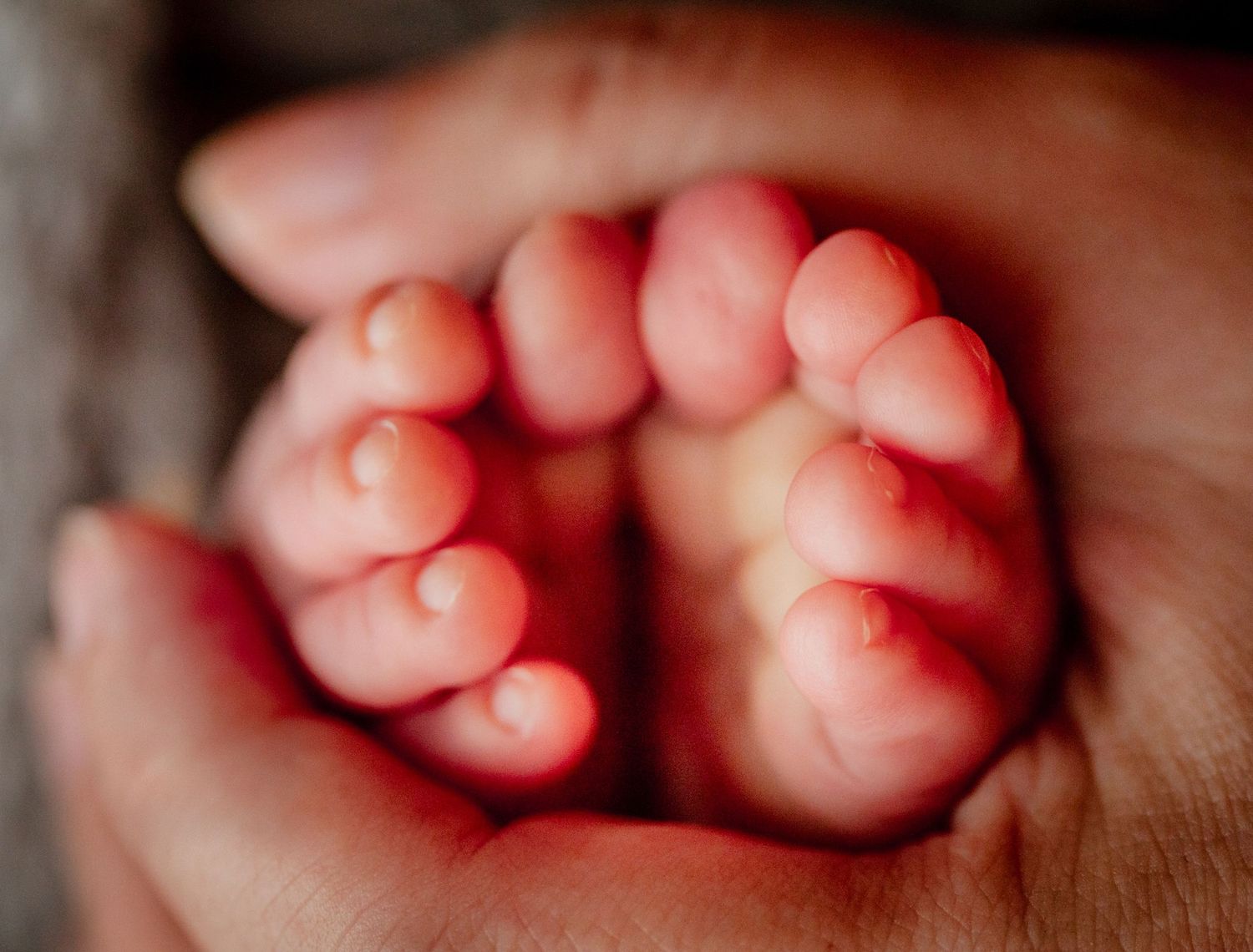 Close-up of a newborn baby's tiny feet cradled gently in an adult's hand.