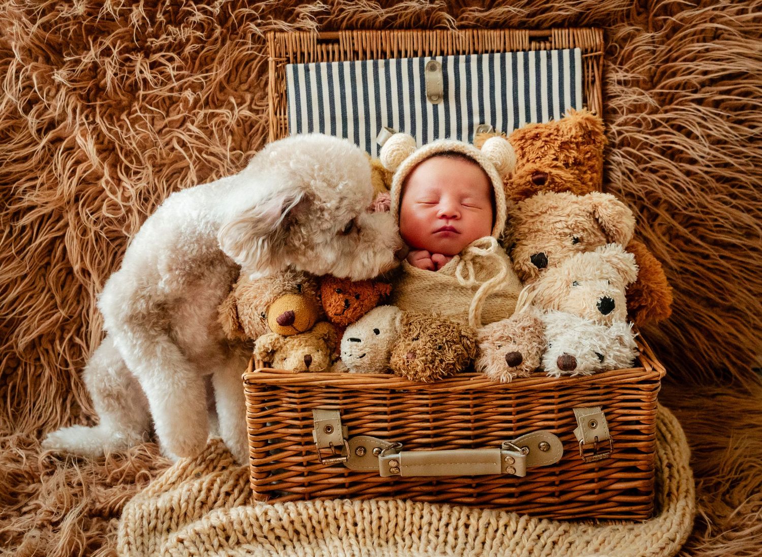 Sleeping newborn baby in knit hat nestled in wicker basket with stuffed animals and white puppy kissing cheek.