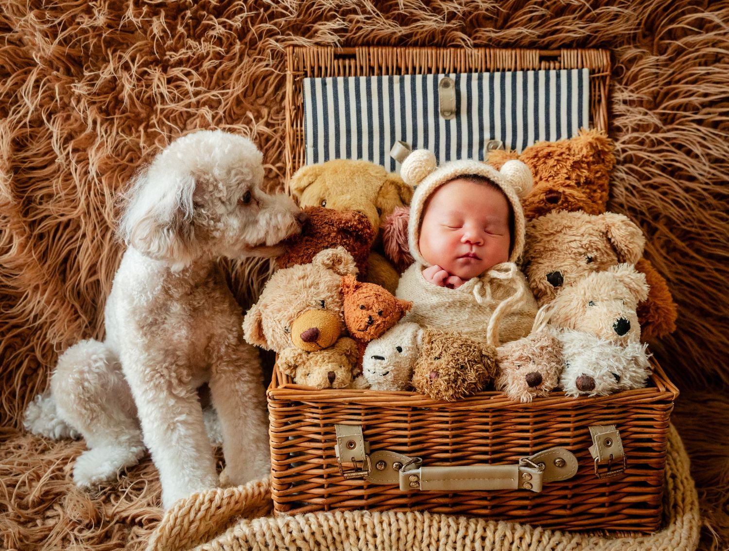 Newborn baby sleeping in wicker basket with teddy bears, wearing bear bonnet, beside white poodle on fur blanket.