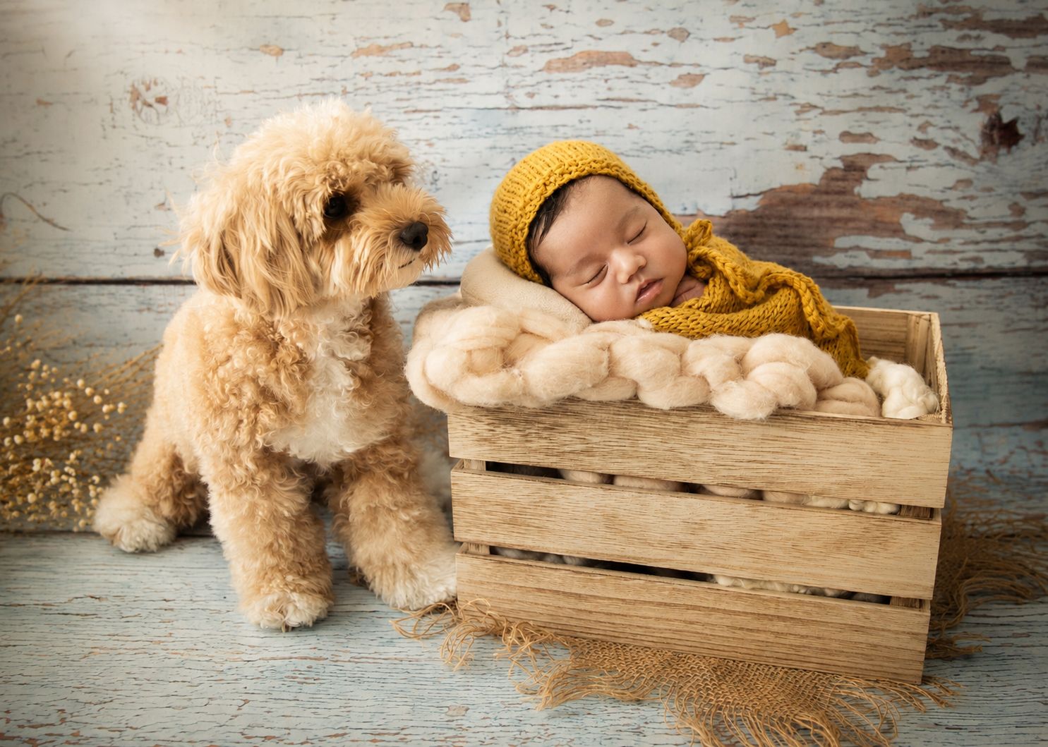 Sleeping newborn in yellow knit bonnet rests in wooden crate beside fluffy golden doodle puppy on rustic backdrop.