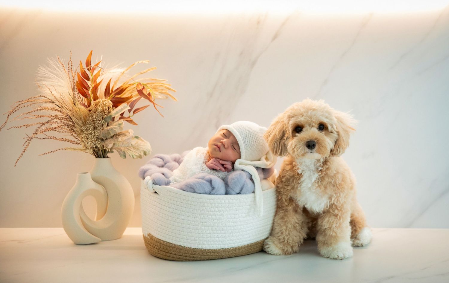 Newborn baby sleeping in a white basket beside a fluffy golden doodle puppy and dried floral arrangement.