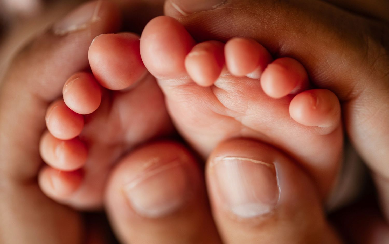 Close-up of tiny newborn baby feet cradled gently in adult hands, showcasing delicate pink toes.