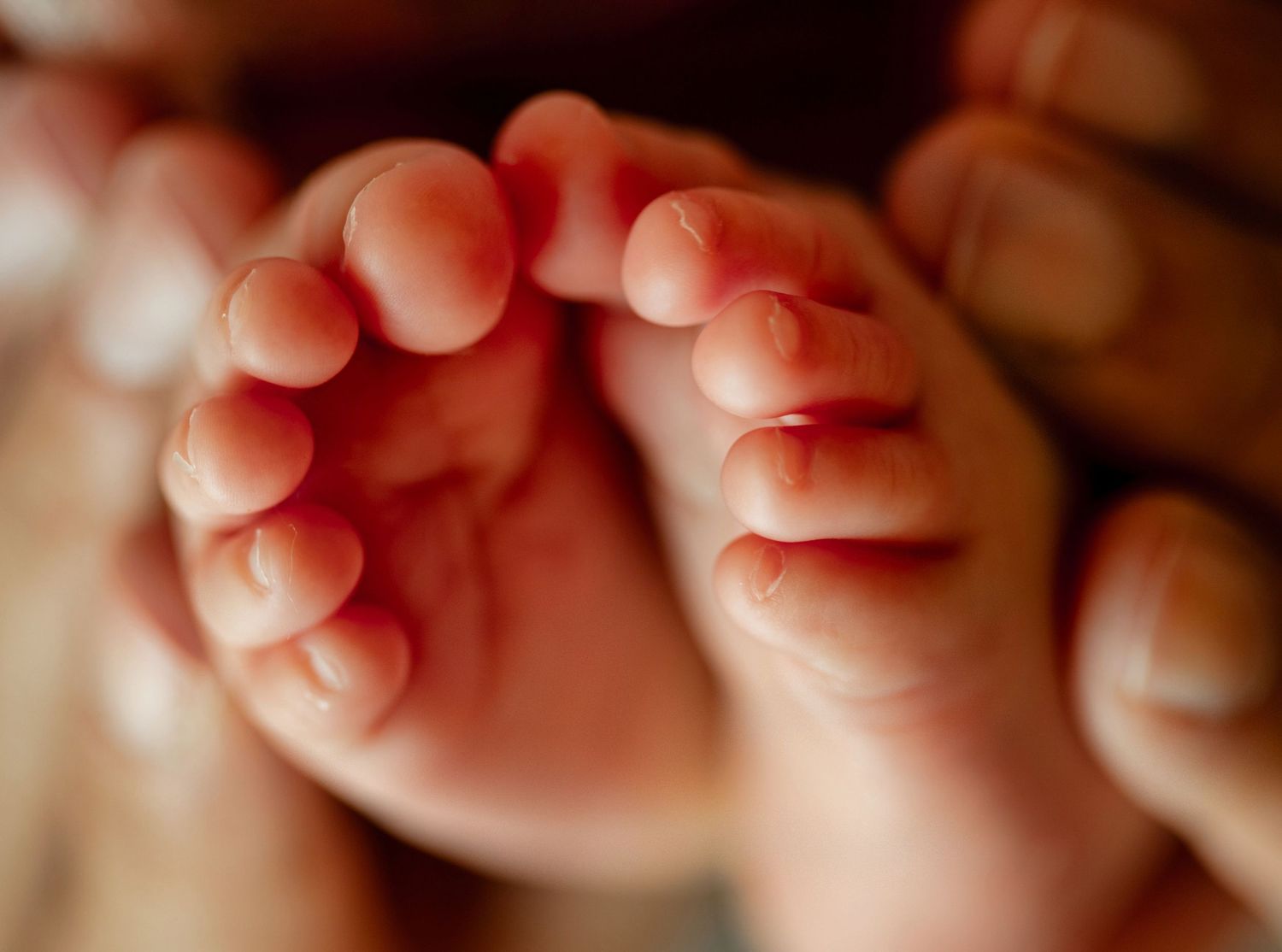 Close-up of tiny newborn baby feet cradled gently in adult hands, showcasing delicate toes and soft skin.