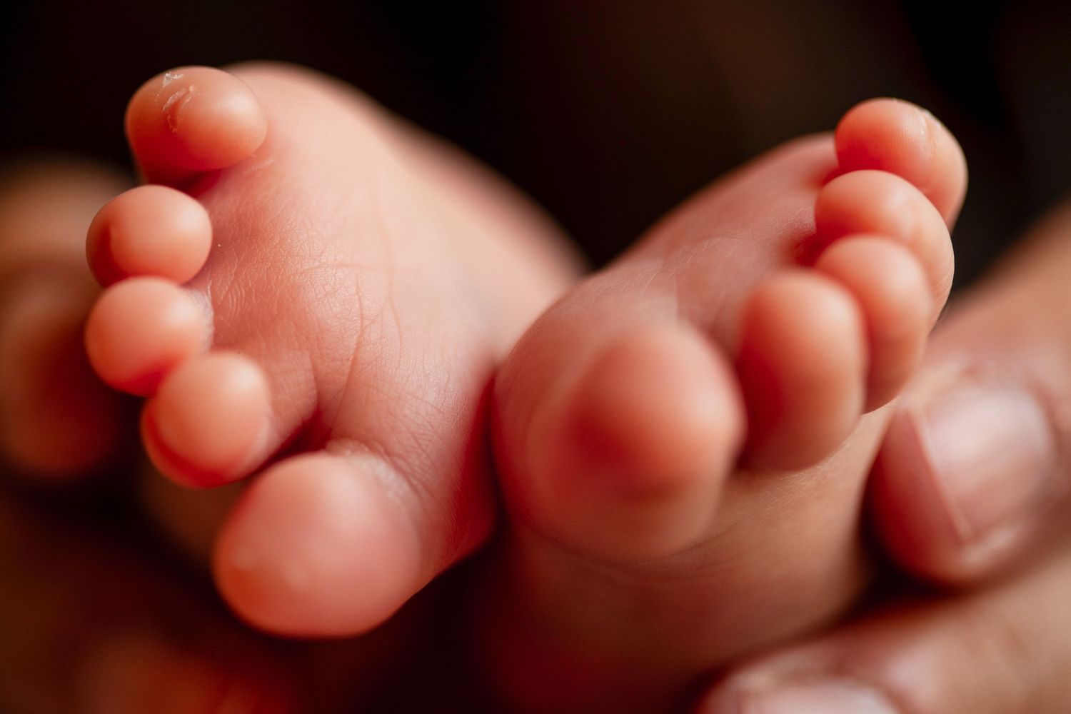 Close-up of a newborn baby's tiny feet cradled gently in an adult's hands.