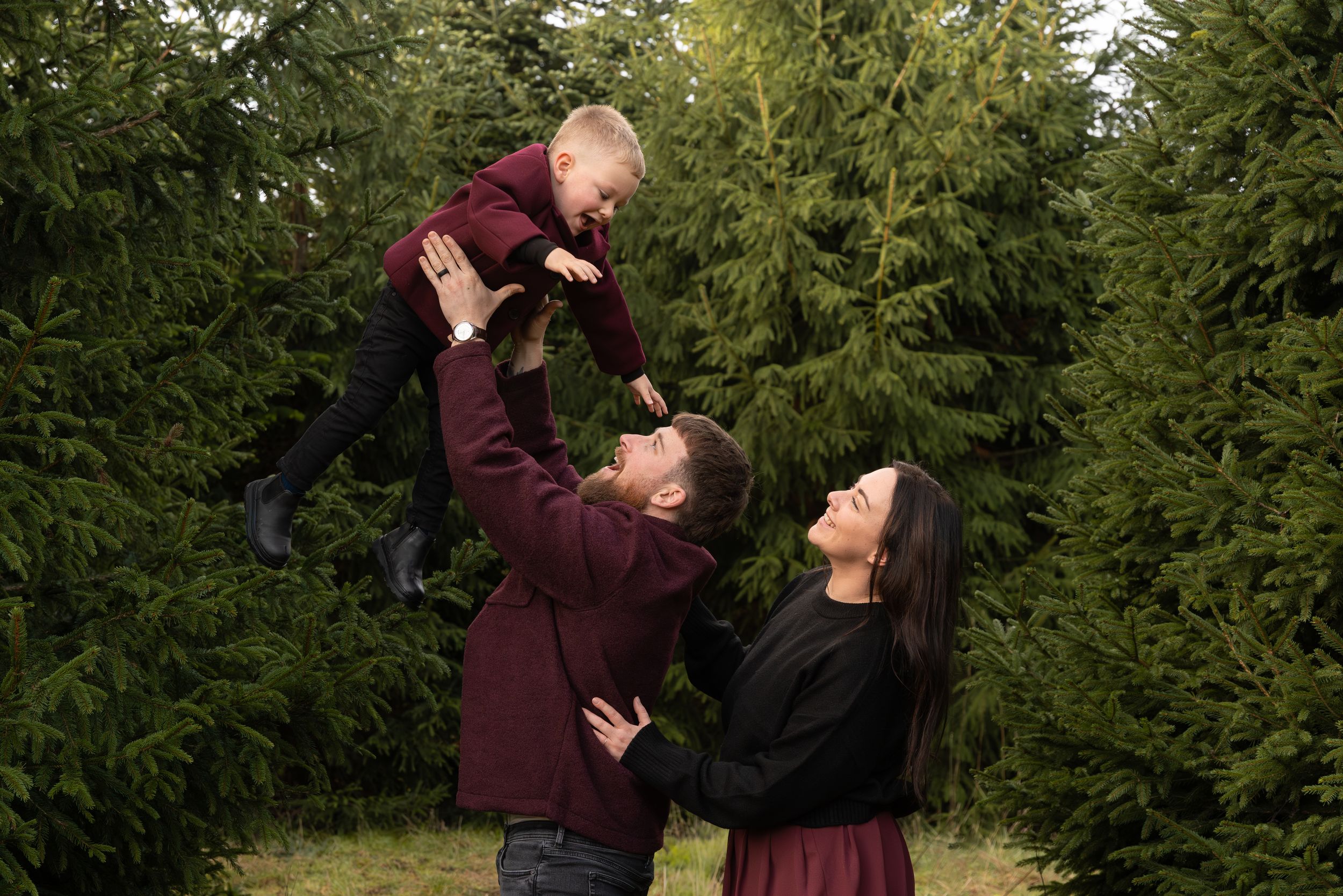 A father in a burgundy sweater lifts a laughing toddler into the air as a smiling mother watches among evergreen trees.