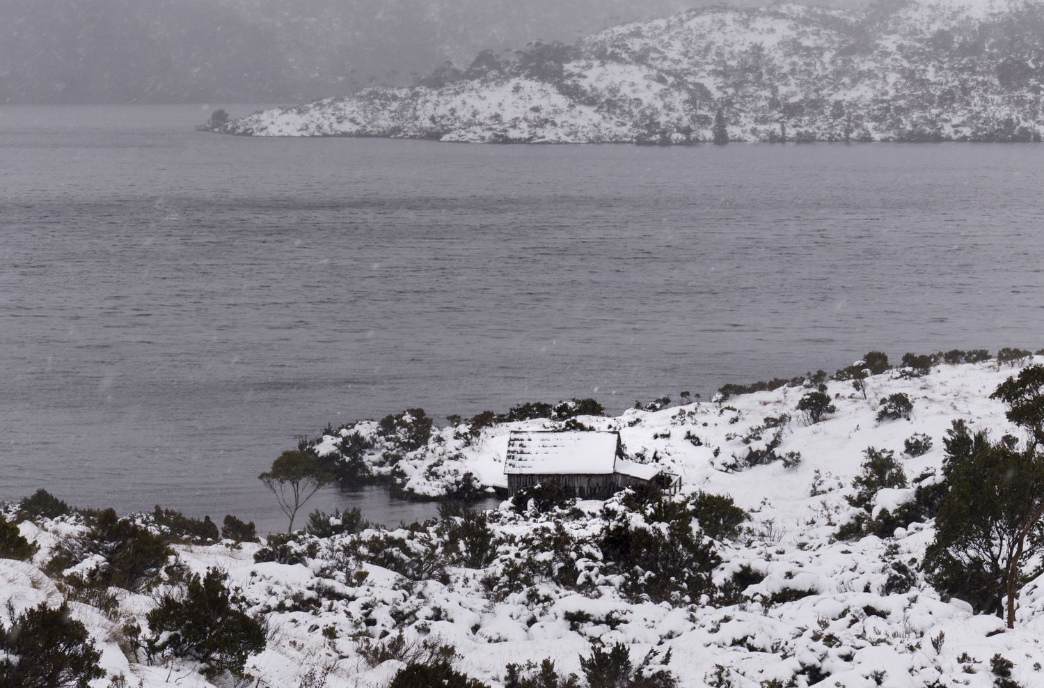 Snow-covered rocky shoreline with a white building beside a calm lake, surrounded by snow-dusted shrubs and misty mountains.