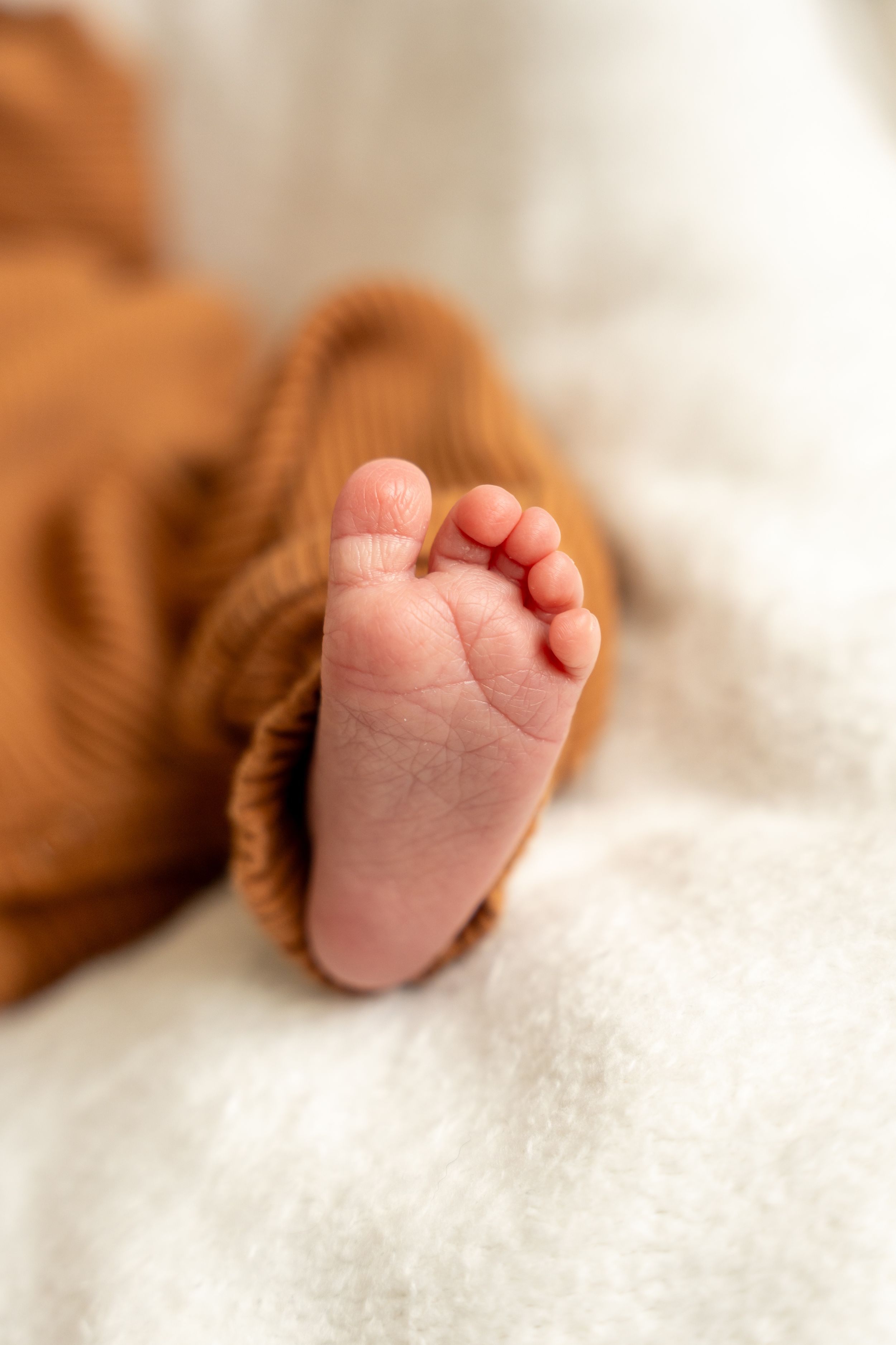 newborn in home session
