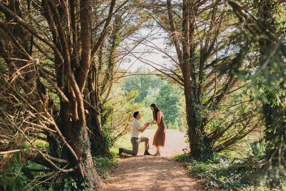 Man proposing on one knee to woman on a sunlit forest path surrounded by lush green trees at inn at little washington