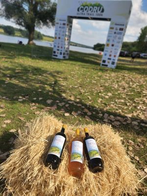 Three wine bottles displayed on hay bale with Codru Ultra Trail 100k finish arch in background.