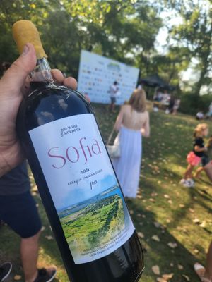 Hand holding Sofia 2021 Moldovan wine bottle at outdoor Codru Ultra Trail running event.