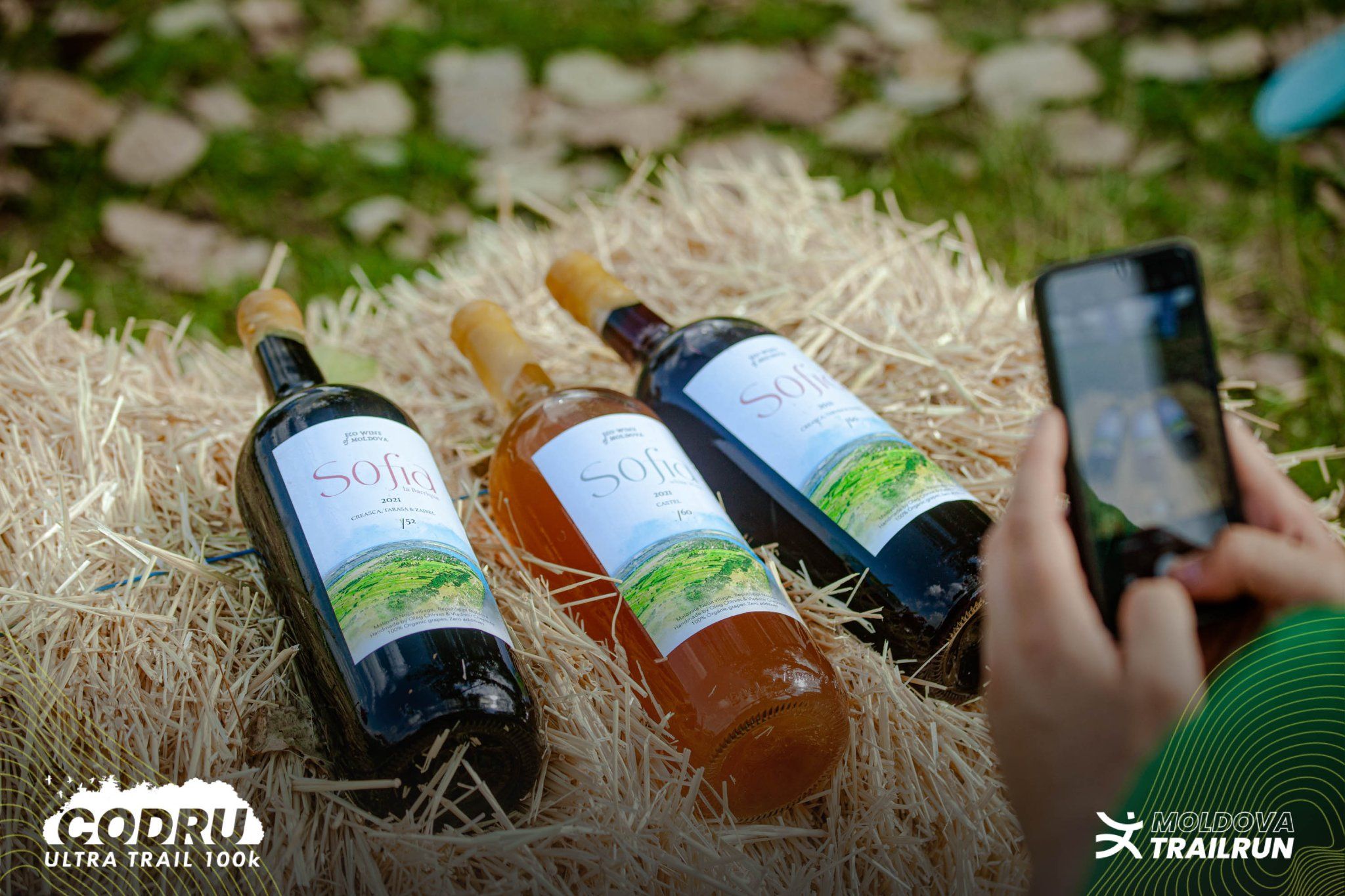 Three Sofia brand wine bottles nestled in straw being photographed at the Codru Ultra Trail event.