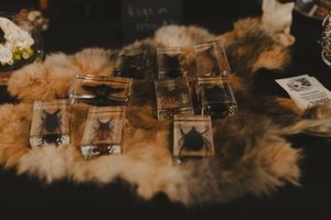Insects preserved in resin blocks displayed on fur at an artisan market vendor table.