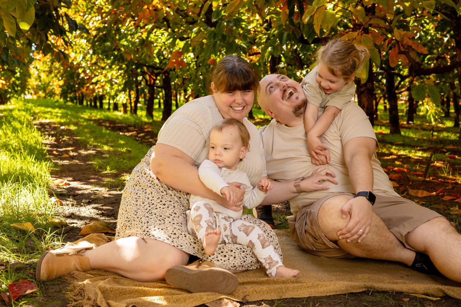 Happy family of four sitting on a blanket in a sunlit autumn orchard, laughing together.