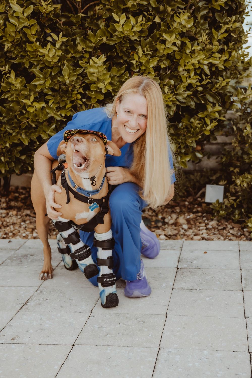 Smiling woman in blue scrubs hugging a happy dog wearing orthopedic leg braces outdoors near green bushes.