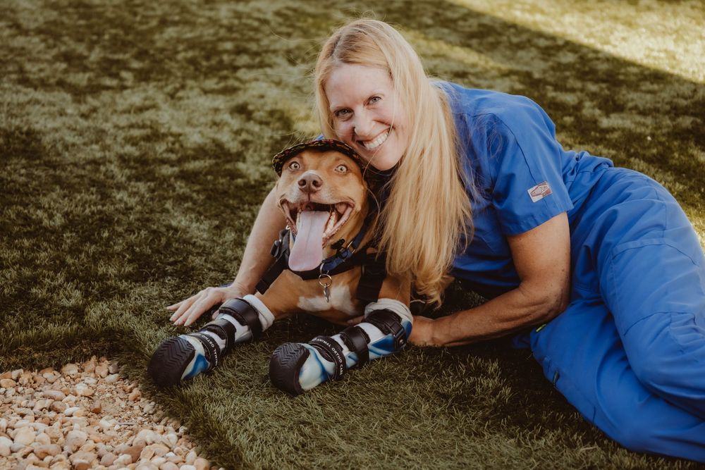 Woman in blue scrubs smiling and hugging a happy dog wearing protective boots on green grass.