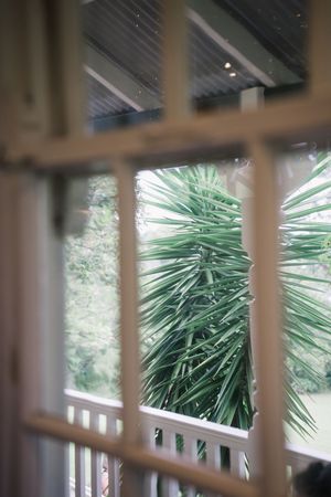 View through wooden window frame of lush green palm tree fronds on a tropical veranda.