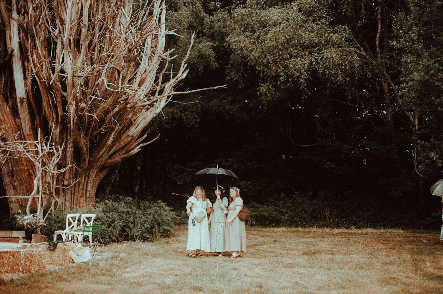 Three bridesmaids in mint dresses share an umbrella outdoors near a rustic tree at a garden wedding.