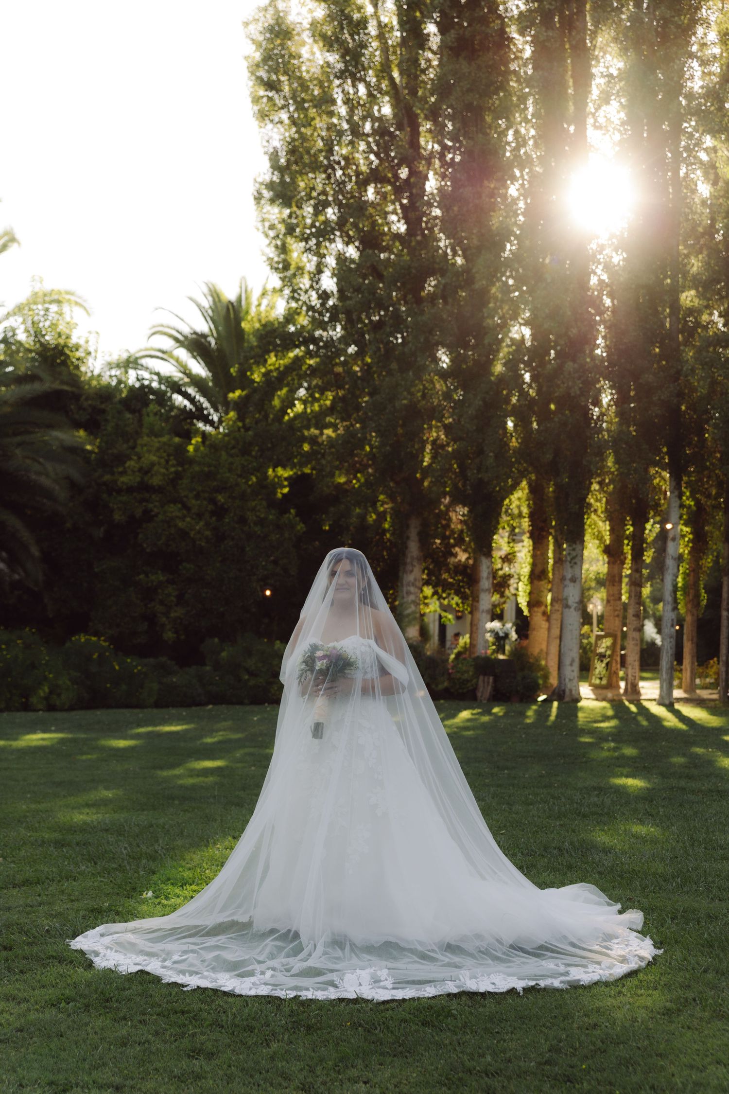 Bride in full cathedral veil standing on green lawn with sunlight filtering through tall trees.
