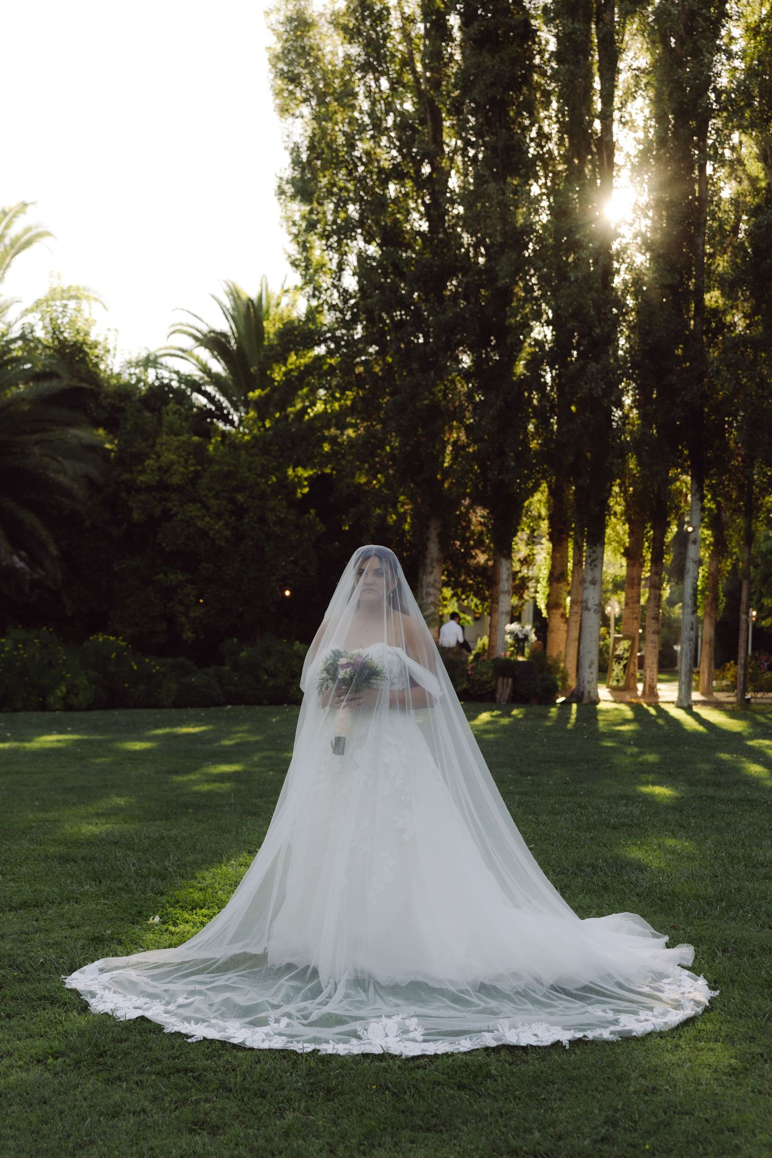 Bride in elegant ball gown with long cathedral veil spread on grass in sunlit garden.