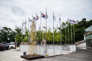 South Korean Taegukgi flags on tall poles displayed outdoors near a bamboo structure and green trees on a cloudy day.