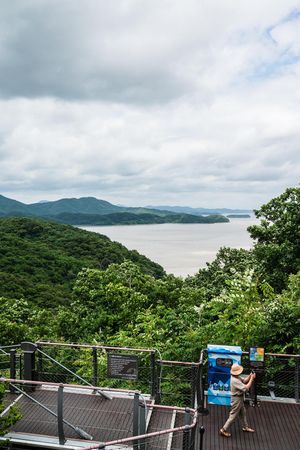 Tourist at scenic overlook viewing lush green hills and calm bay waters under cloudy skies.