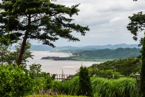 Scenic overlook of a tranquil bay surrounded by lush green hills and mountains, framed by pine trees under a cloudy sky.