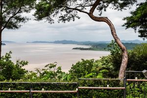 Scenic overlook of a vast tidal mudflat bay framed by pine trees and lush greenery under overcast skies.