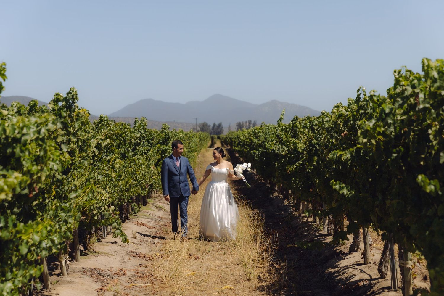 Newlywed couple walking hand in hand through a lush vineyard with mountains behind.