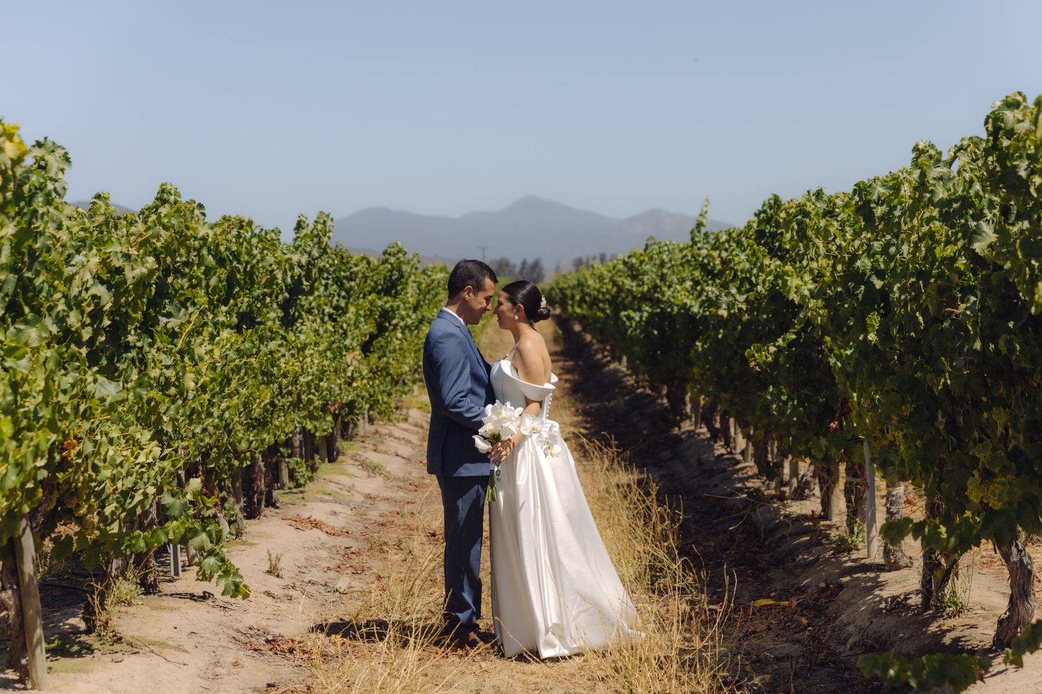 Bride and groom sharing a romantic moment between rows of grapevines in a vineyard.