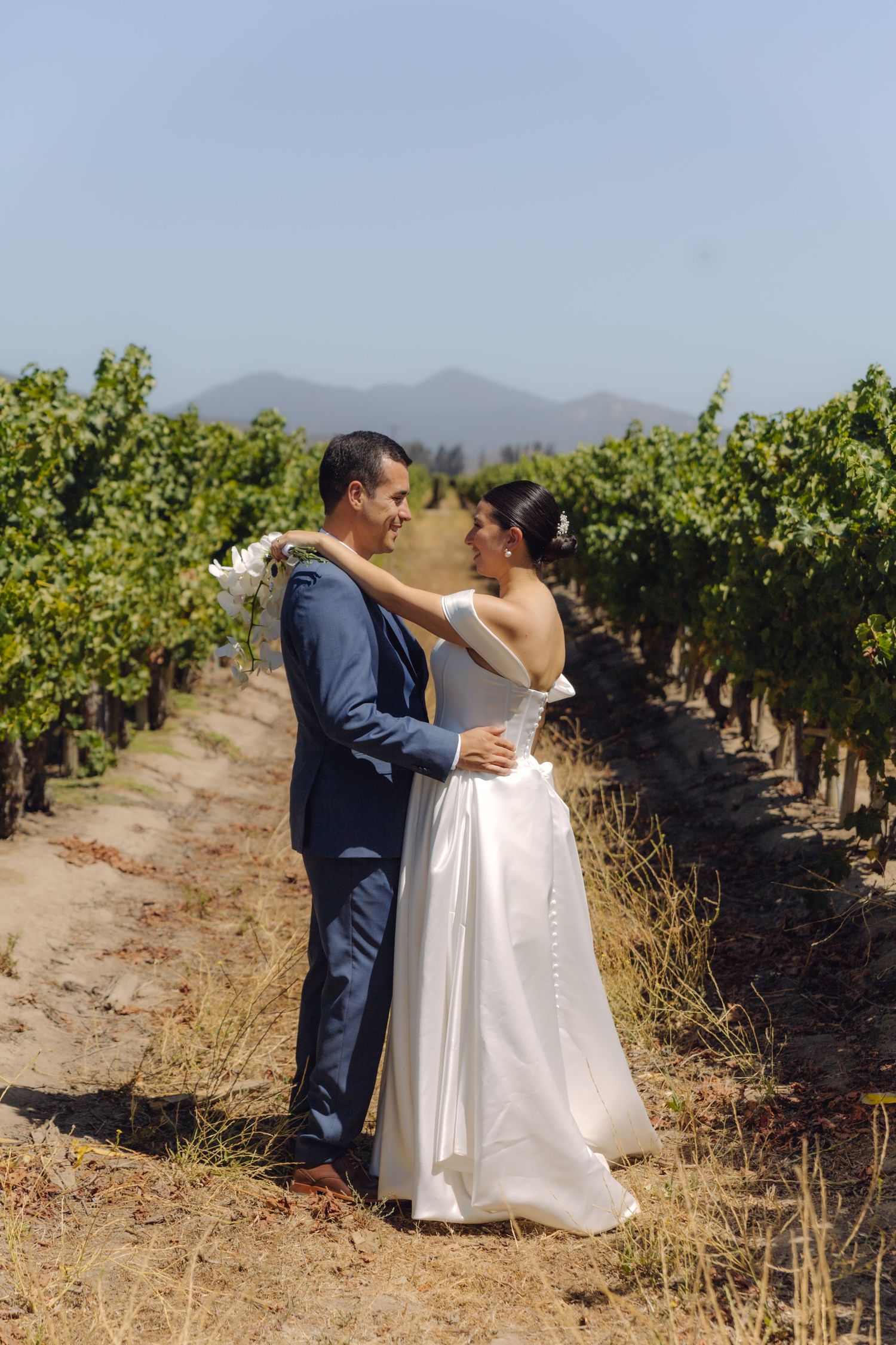 Bride and groom embracing in a sunny vineyard, mountains visible in the background.