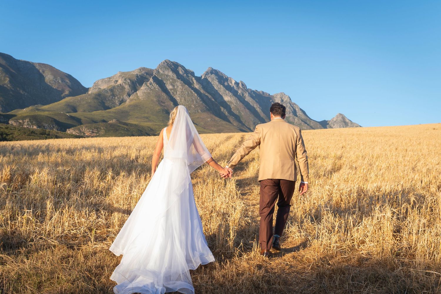Bride and groom holding hands walking through golden wheat field with scenic mountain backdrop on sunny wedding day.