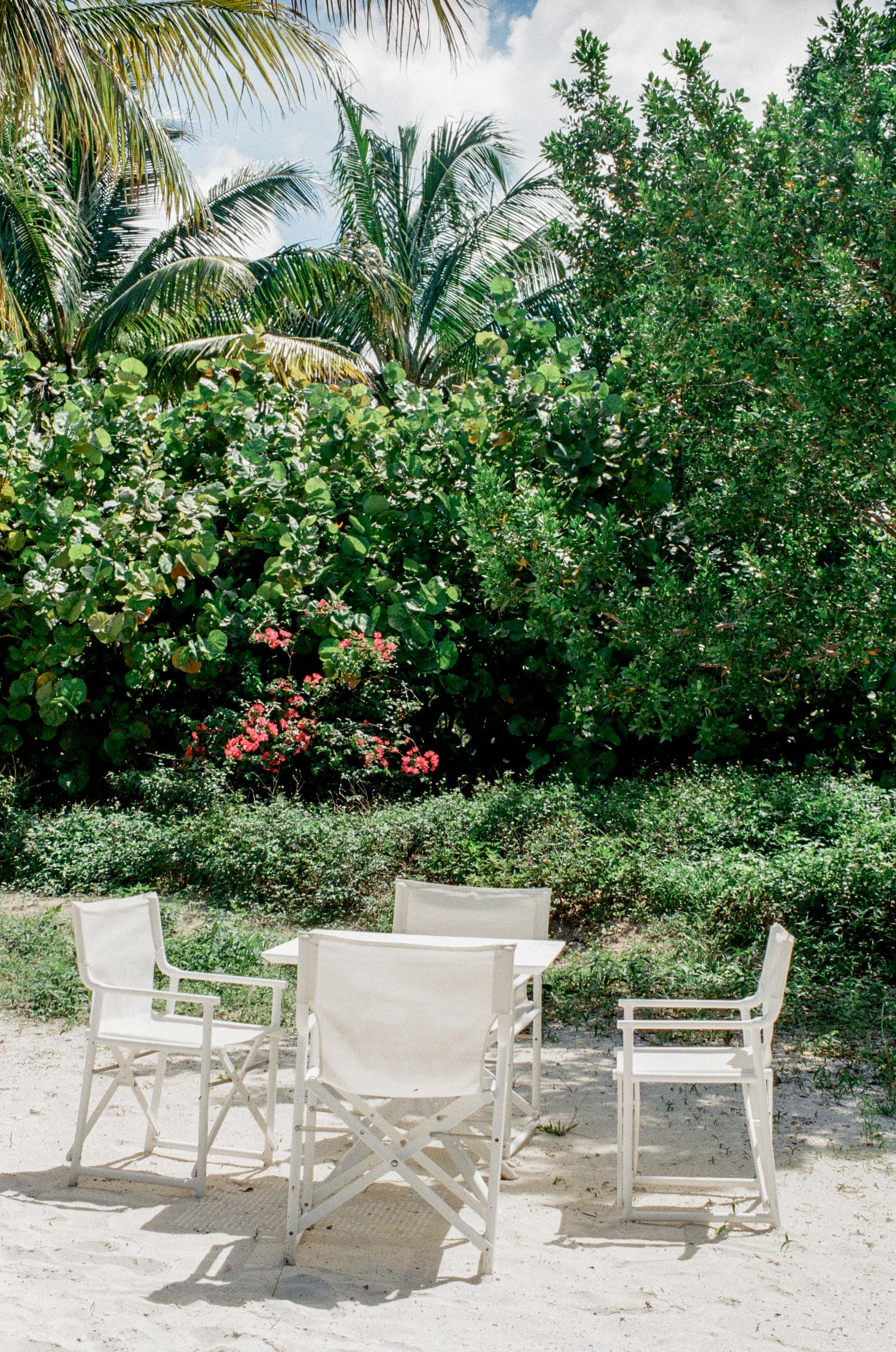 White director chairs and table on sandy beach surrounded by lush tropical greenery and palm trees.